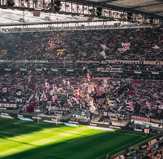 A packed sports stadium filled with enthusiastic fans waving flags and banners. The crowd is dense, showcasing a dynamic and lively atmosphere. Sunlight filters through the stadium roof, casting patterns on the green field below.