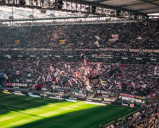 A packed sports stadium filled with enthusiastic fans waving flags and banners. The crowd is dense, showcasing a dynamic and lively atmosphere. Sunlight filters through the stadium roof, casting patterns on the green field below.